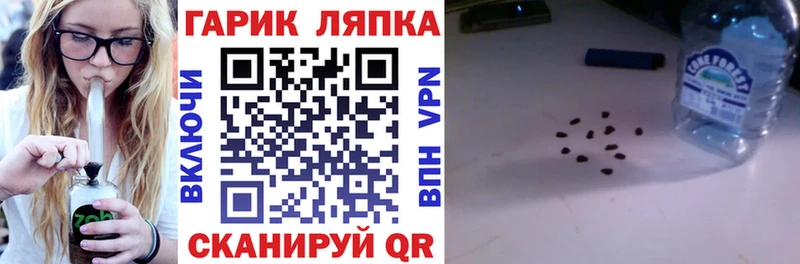 Купить где  Бобров  ГАШИШ гарик 