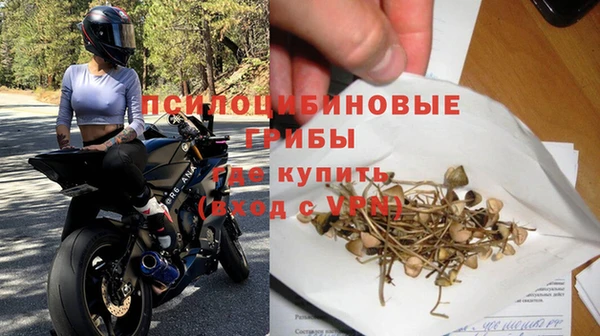 ГАЛЛЮЦИНОГЕННЫЕ ГРИБЫ Баксан