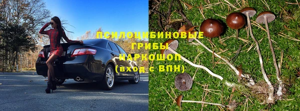 ГАЛЛЮЦИНОГЕННЫЕ ГРИБЫ Баксан