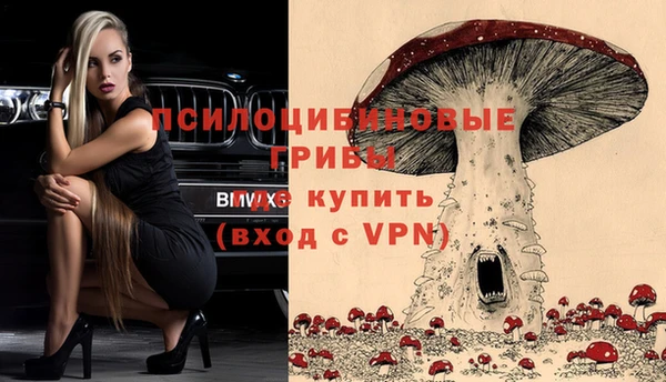 ГАЛЛЮЦИНОГЕННЫЕ ГРИБЫ Баксан