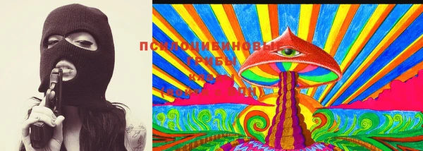 ГАЛЛЮЦИНОГЕННЫЕ ГРИБЫ Баксан