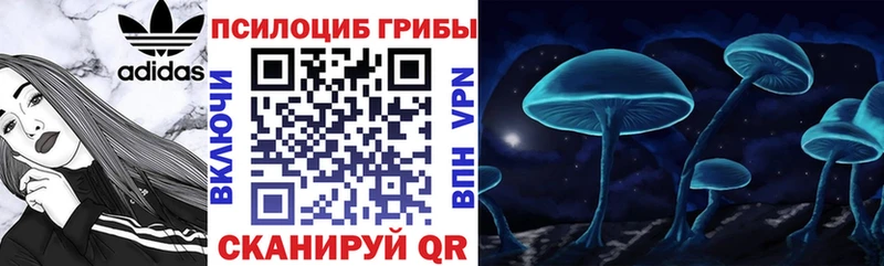 Галлюциногенные грибы MAGIC MUSHROOMS  Купить закладки  Бобров 